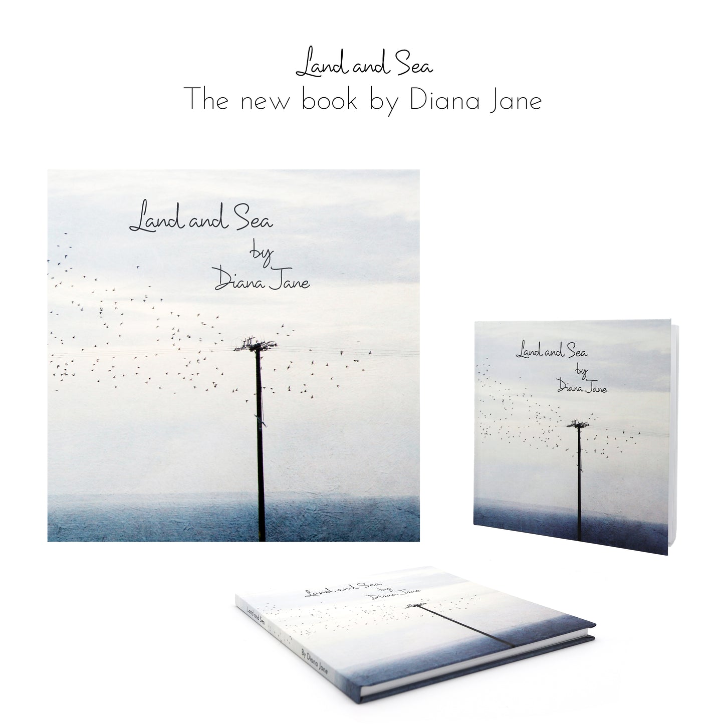 Land and Sea - The new art book by Diana Jane