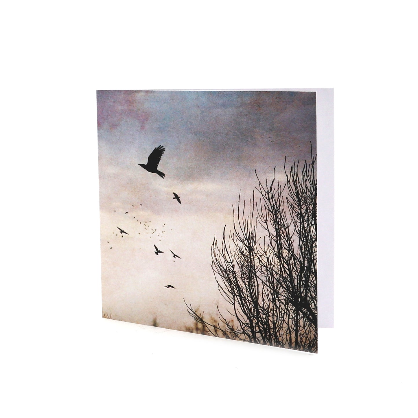 Single Cards - The Crows, Take Flight 2