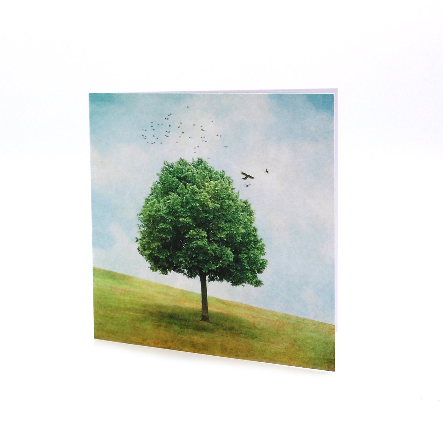 Single Cards - Summer