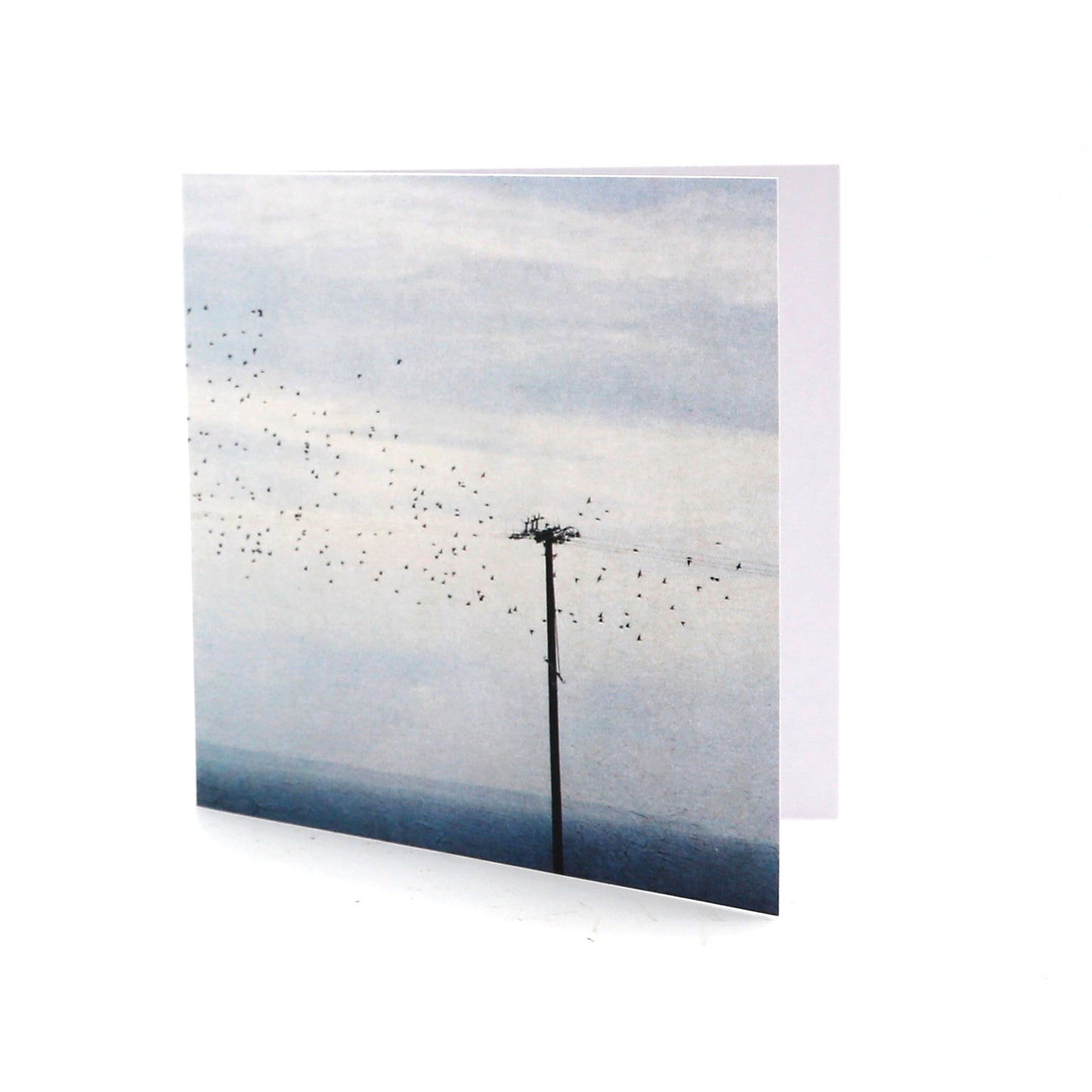 Single Cards - The Crows, Over the Ocean