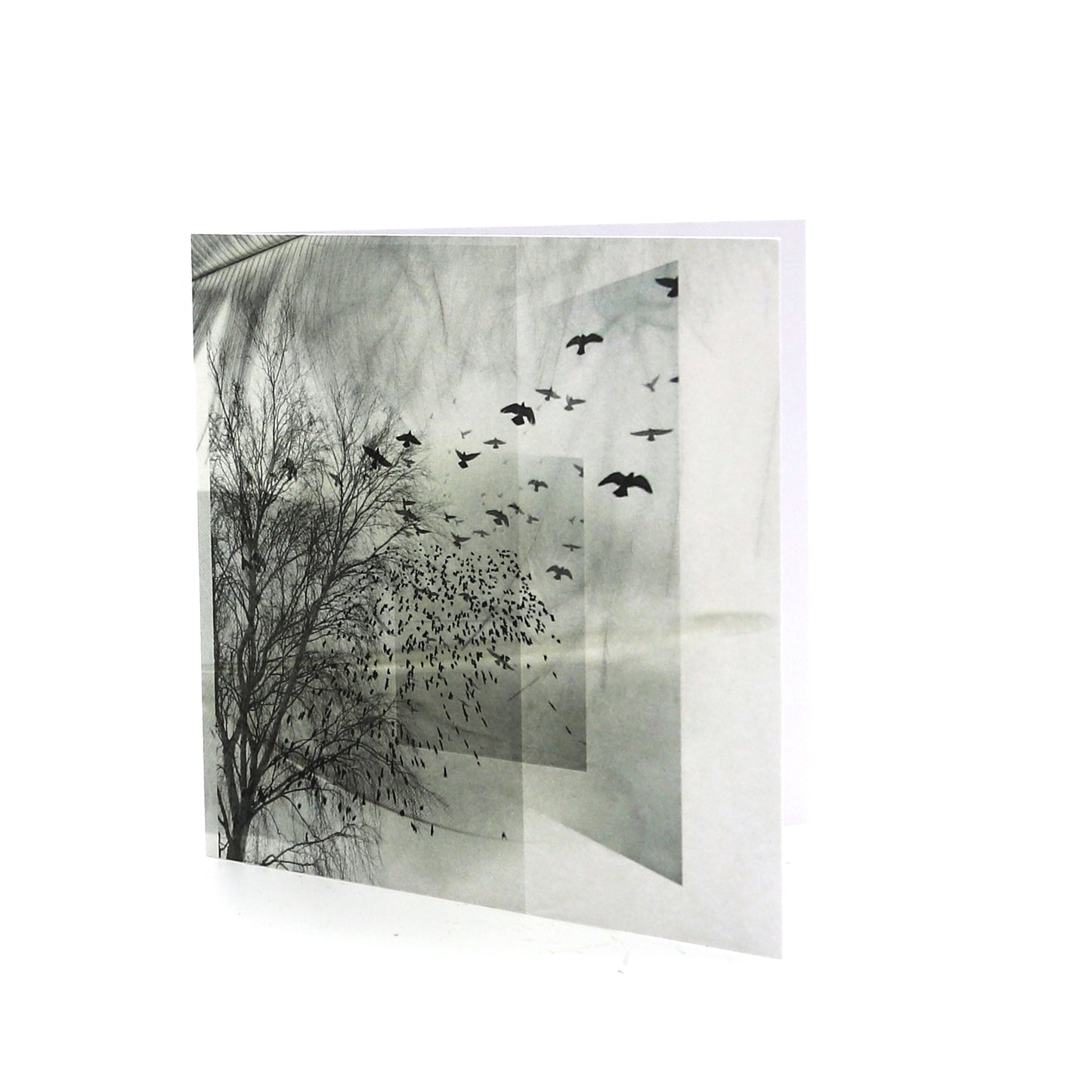 Single Cards - Reflections 3