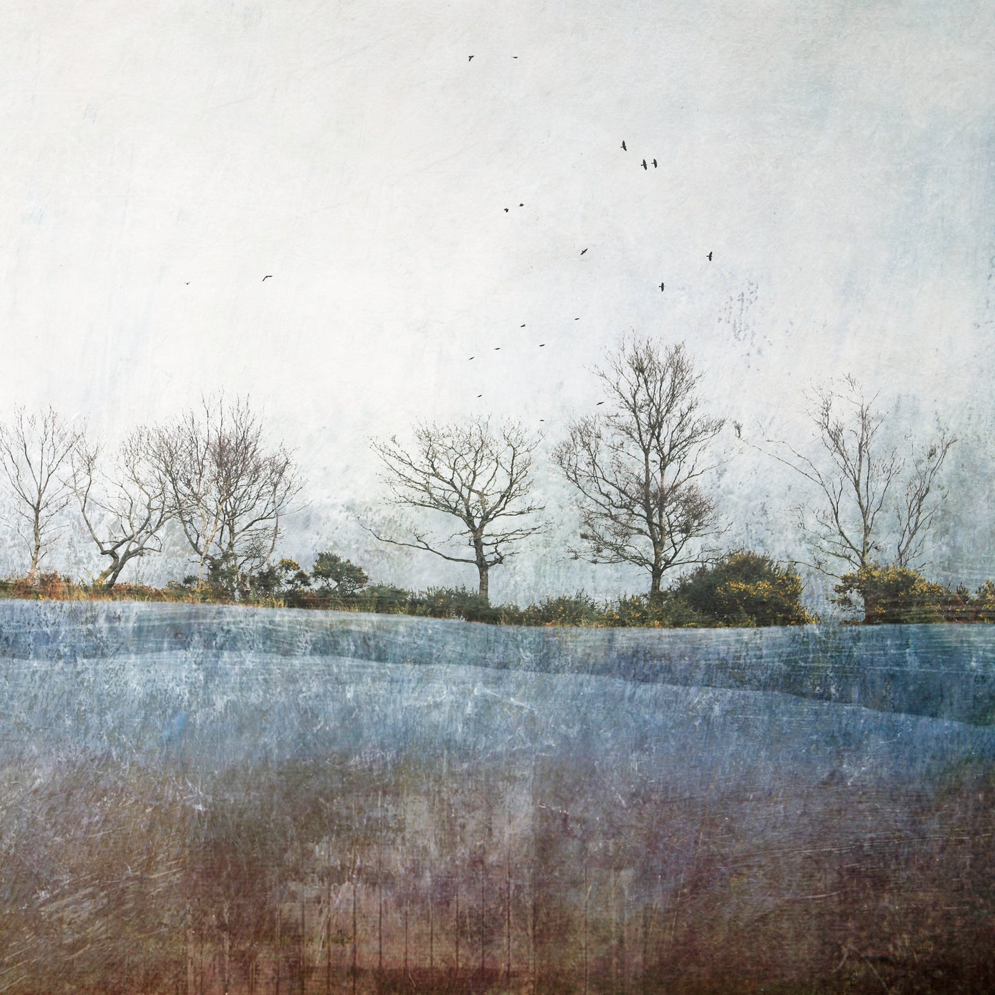 Misty Dawn