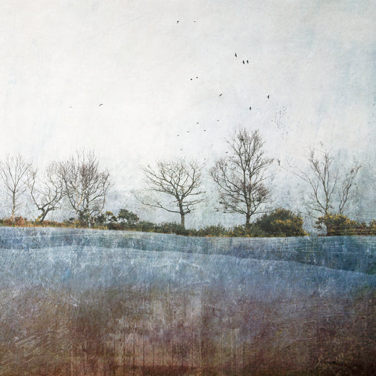 Misty Dawn