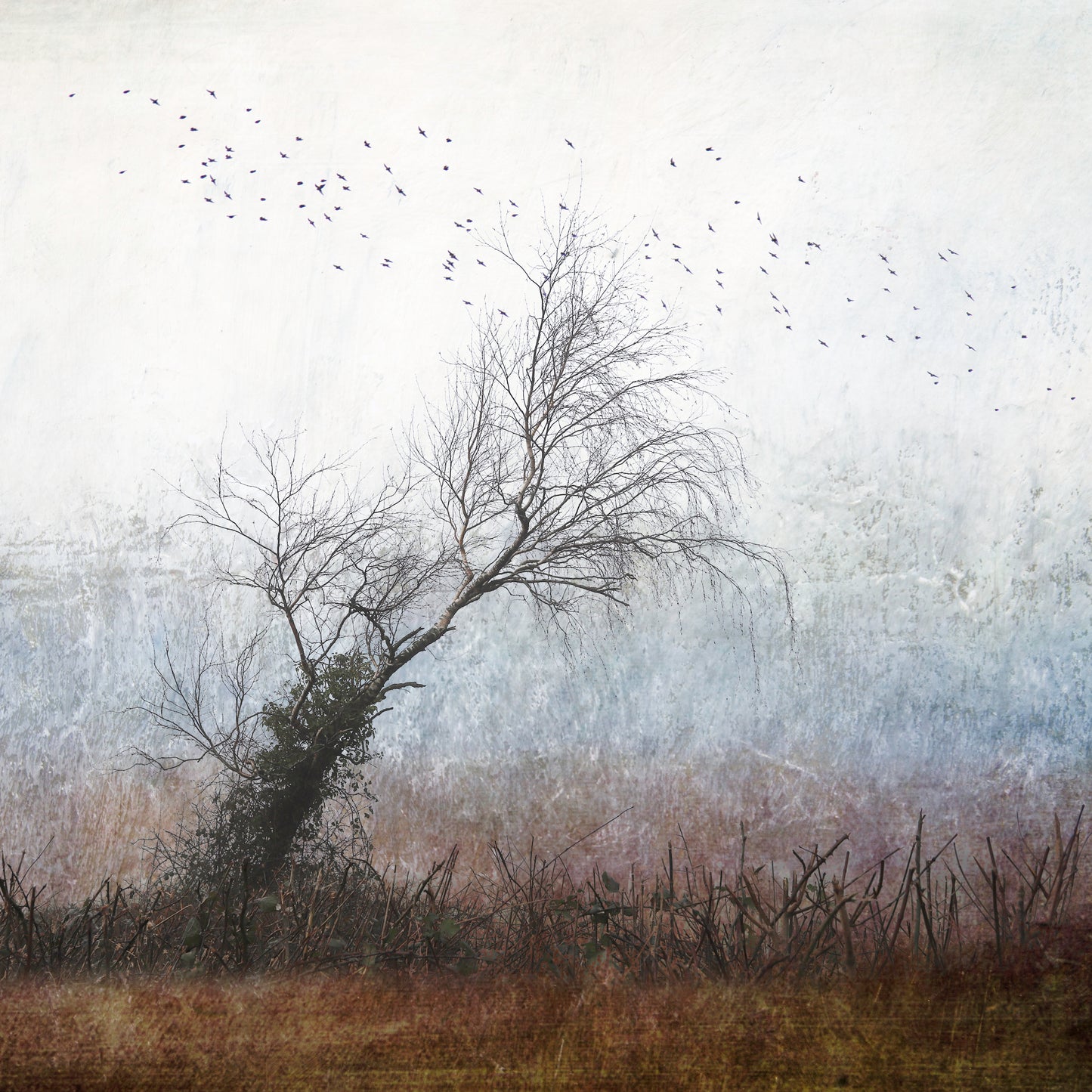 Winter Haze