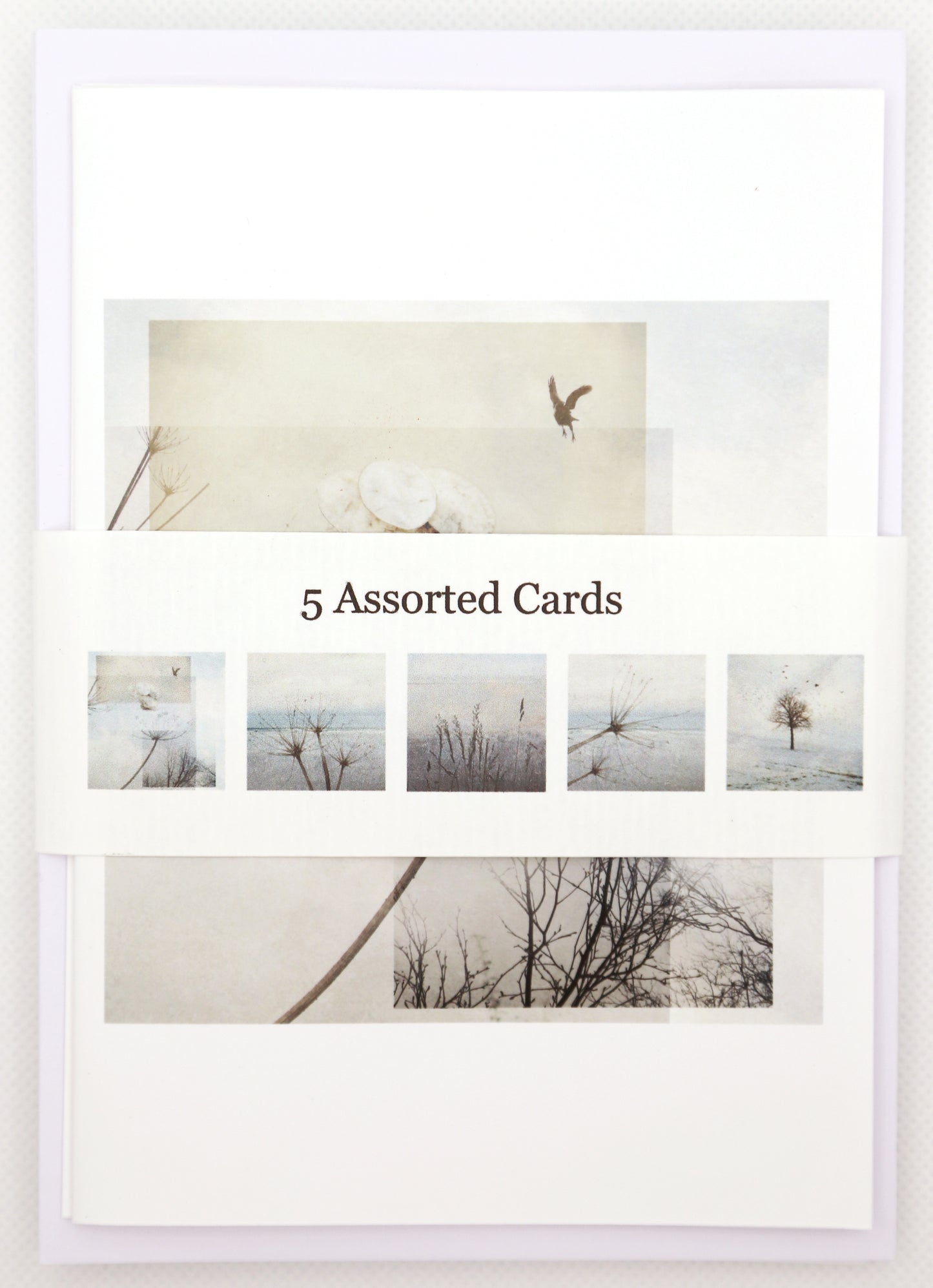 5 Assorted Note Cards