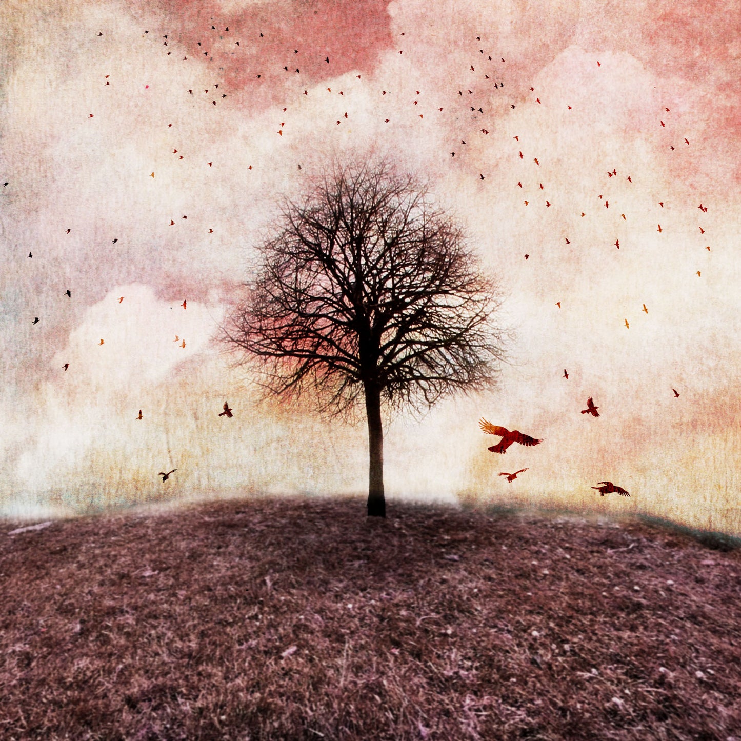 Pink Tree