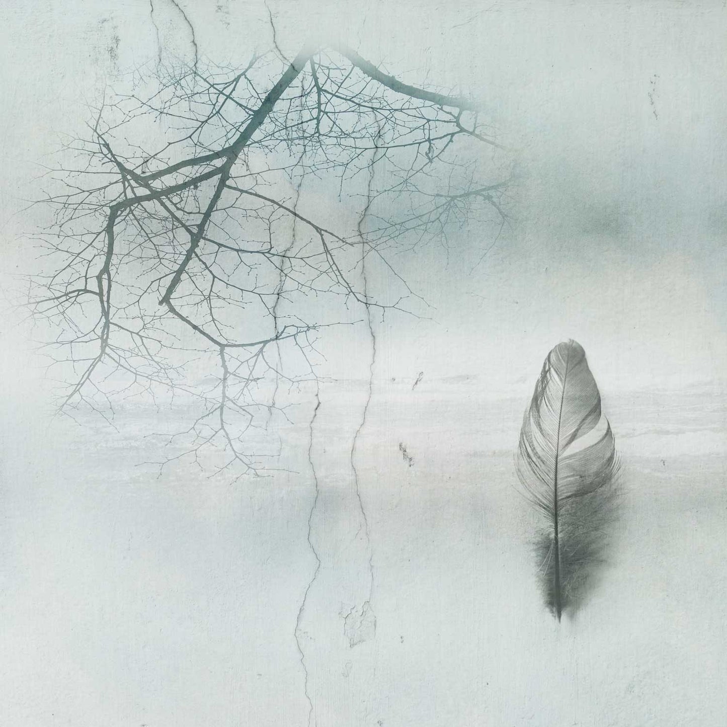 Reflections 1