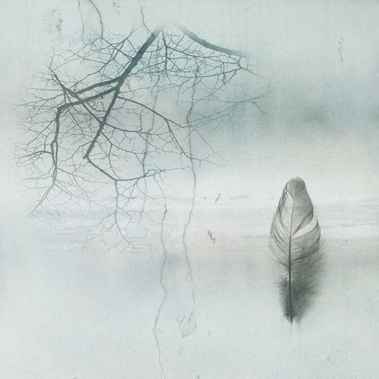Reflections 1