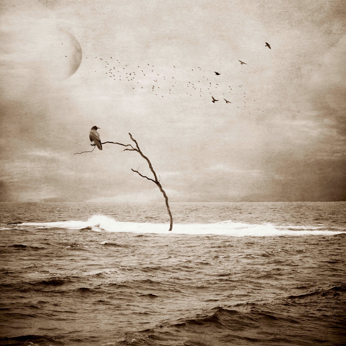 Self Isolation