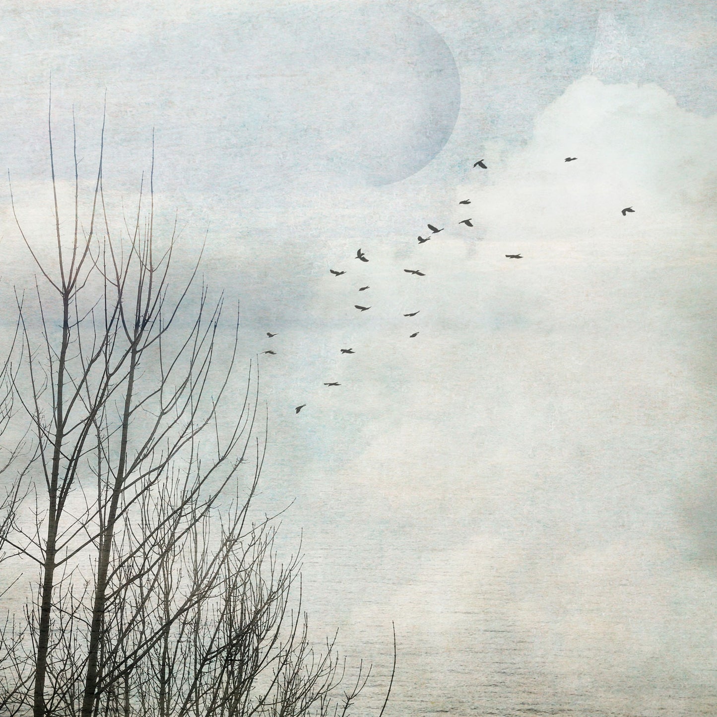 Winter Meditation 1