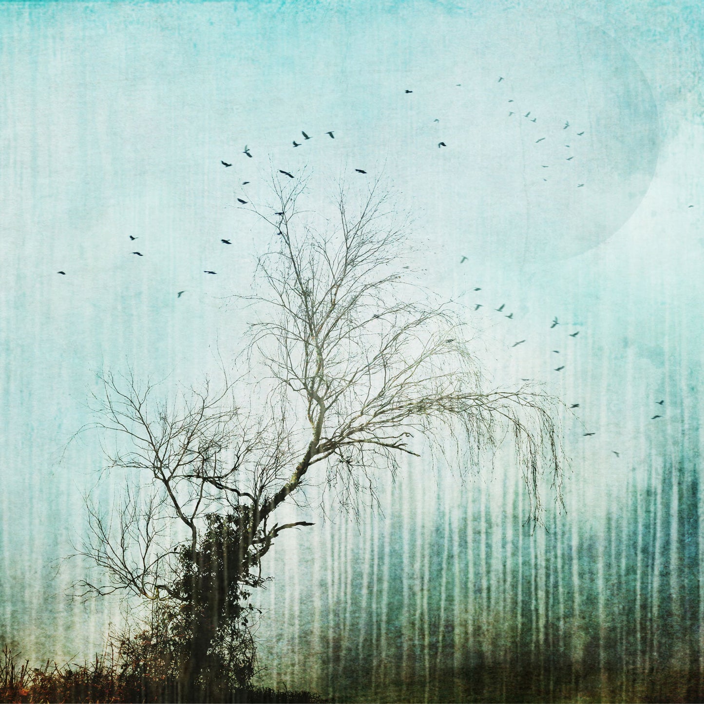 Winter Meditation 3