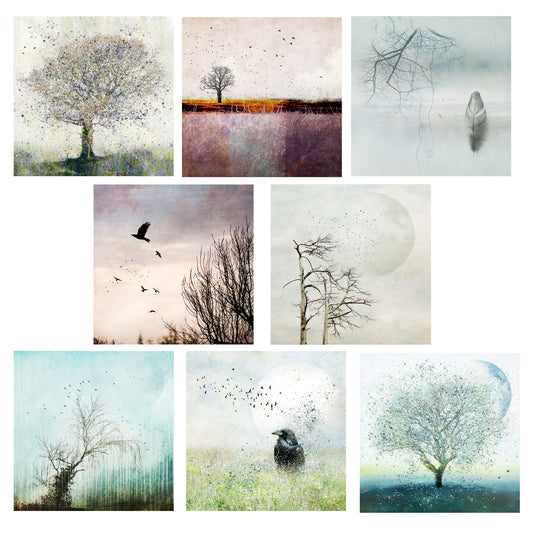 Selection Pack Of 8 Cards - Pack 5
