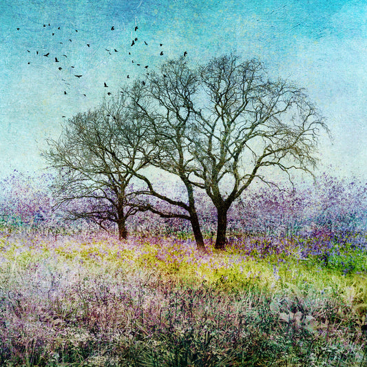 Fleeting Possibilites