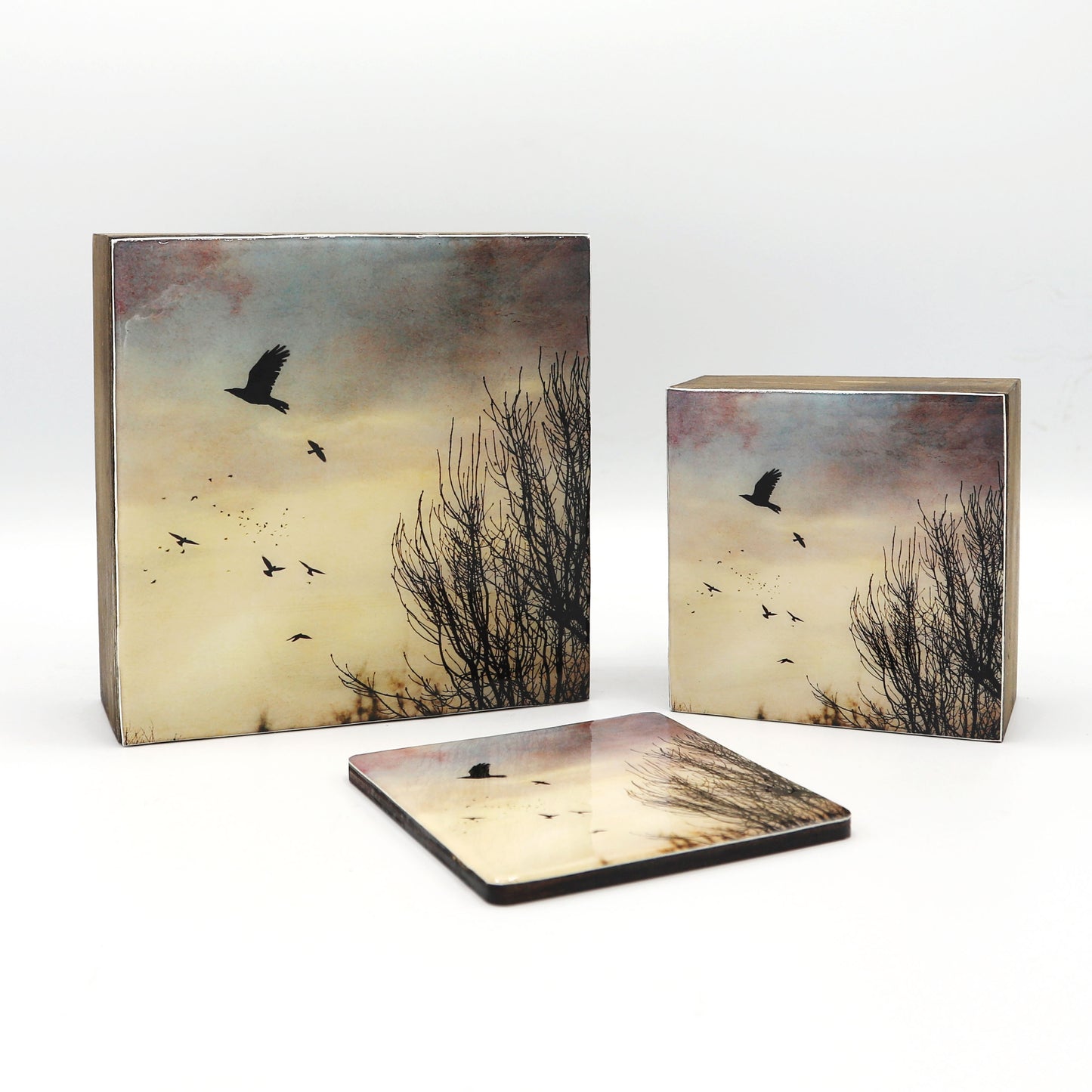 Resin Box Style Framed Print, The Crows Take Flight 2