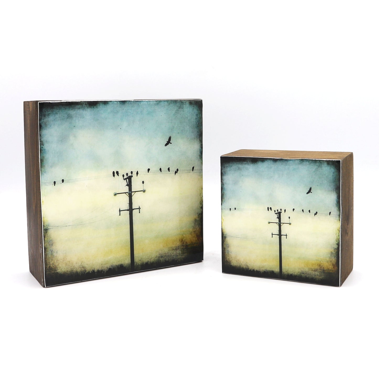 Resin Box Style Framed Print - The Crows, Sundown