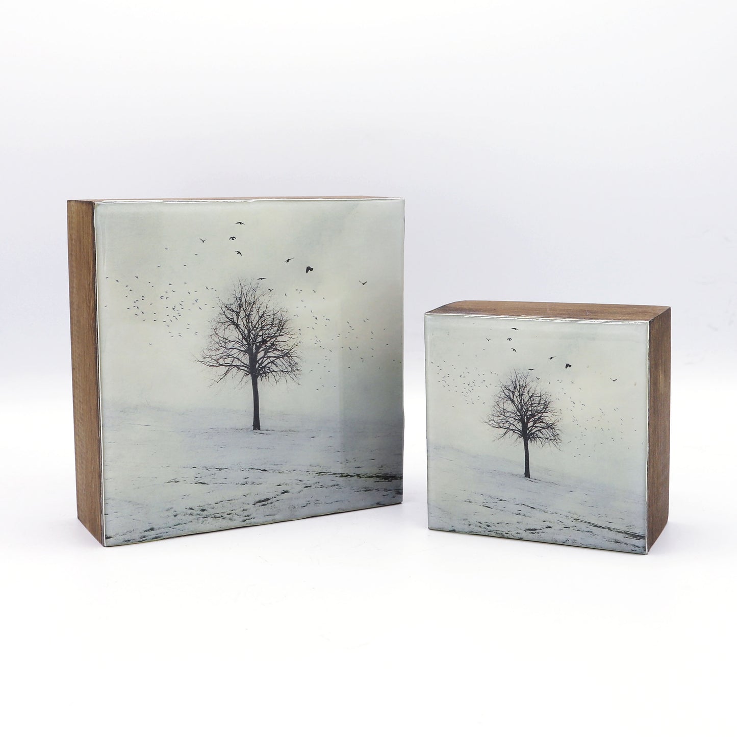 Resin Box Style Framed Print - Winter Tree