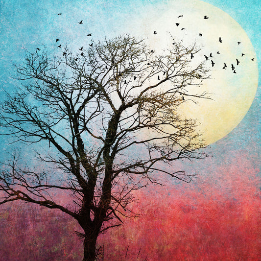 Twilight