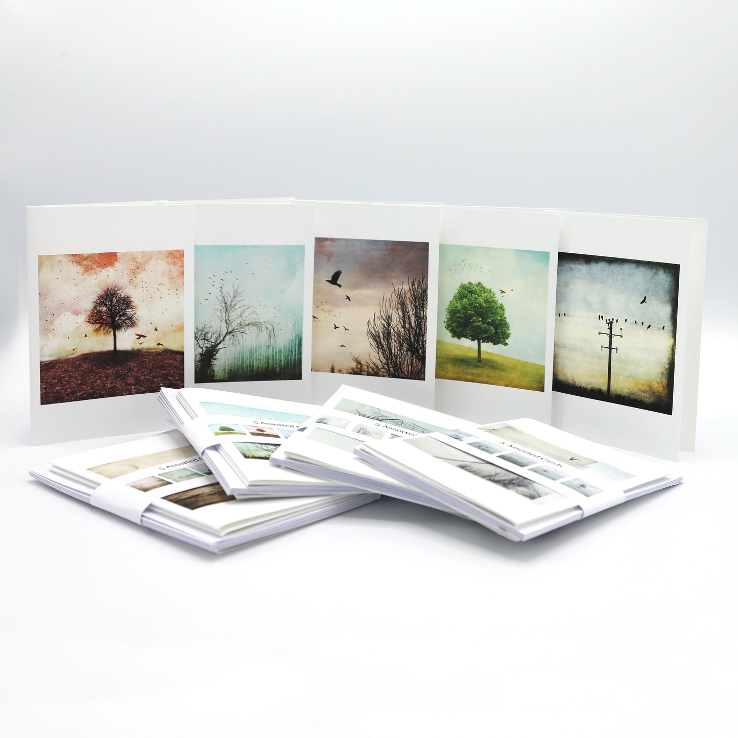 5 Assorted Note Cards