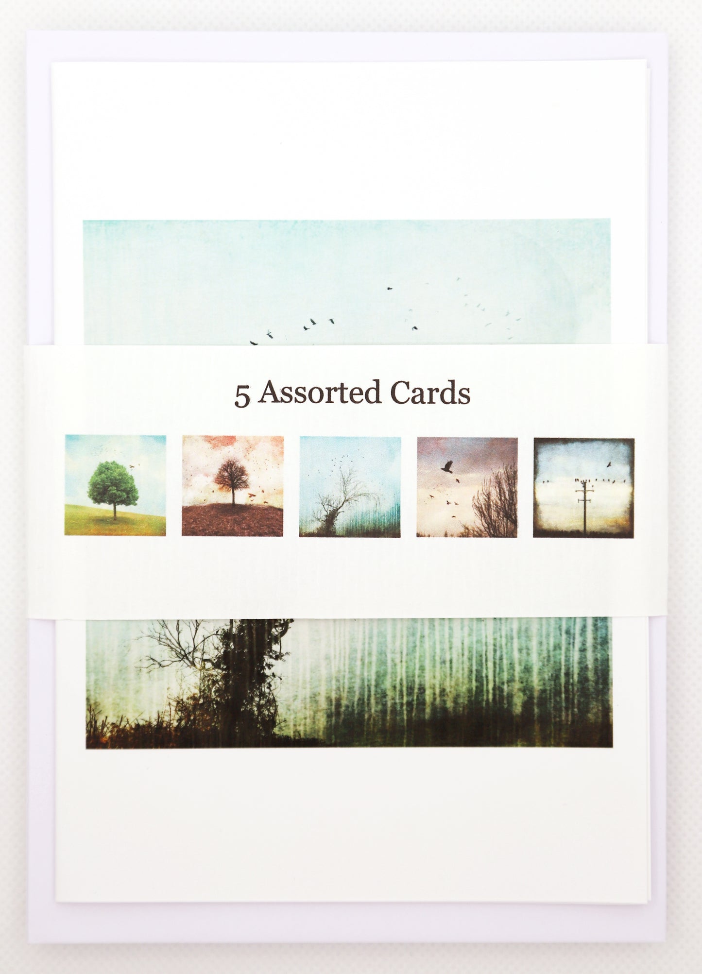 5 Assorted Note Cards