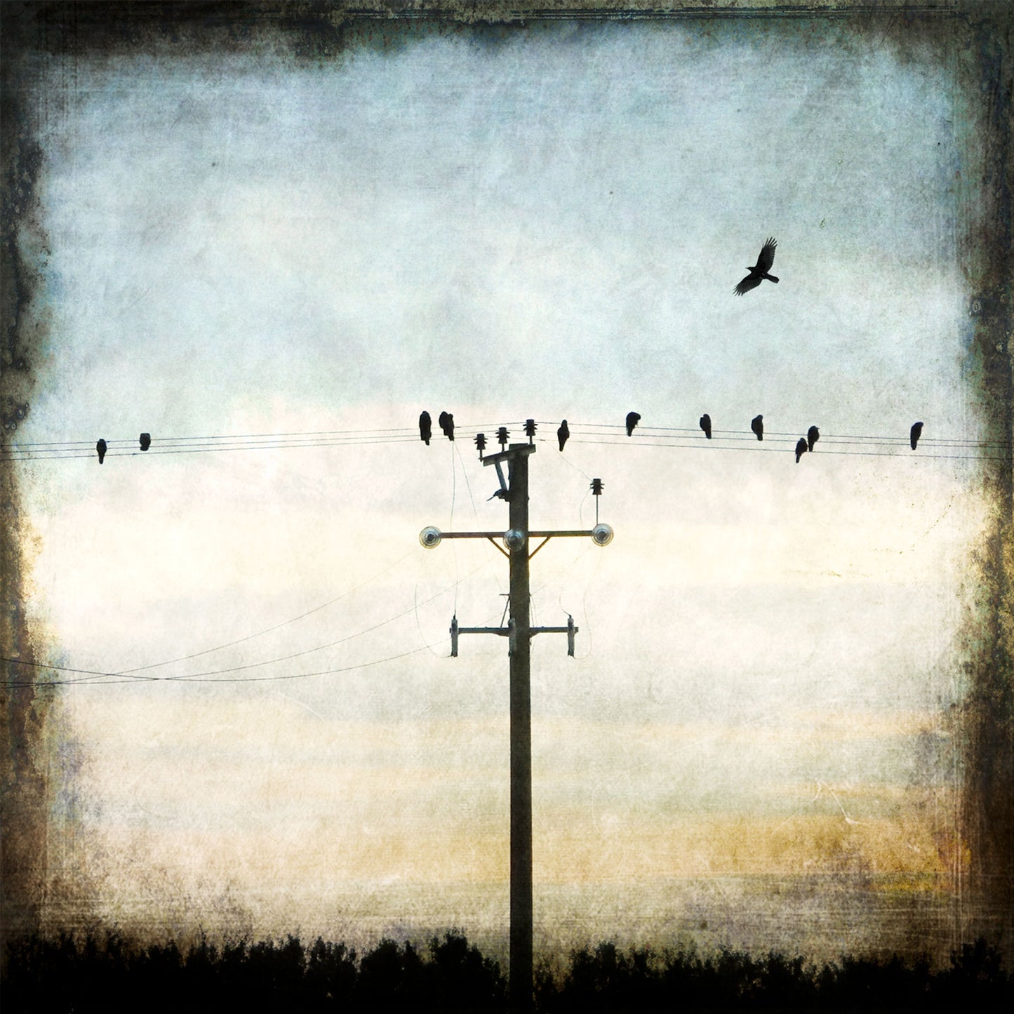 The Crows: Sundown